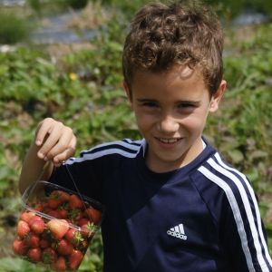 School Food Matters photo of a school child holding strawberries