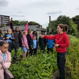Children growing in school garden