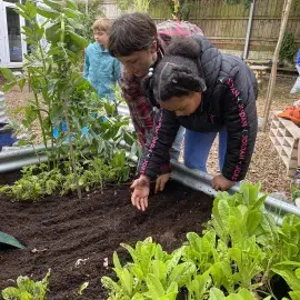Children growing in school garden